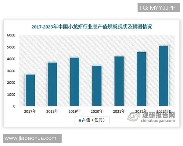 重庆羽毛球队的运营策略与市场推广全解析 重庆羽毛球队的运营策略与市场推广全解析